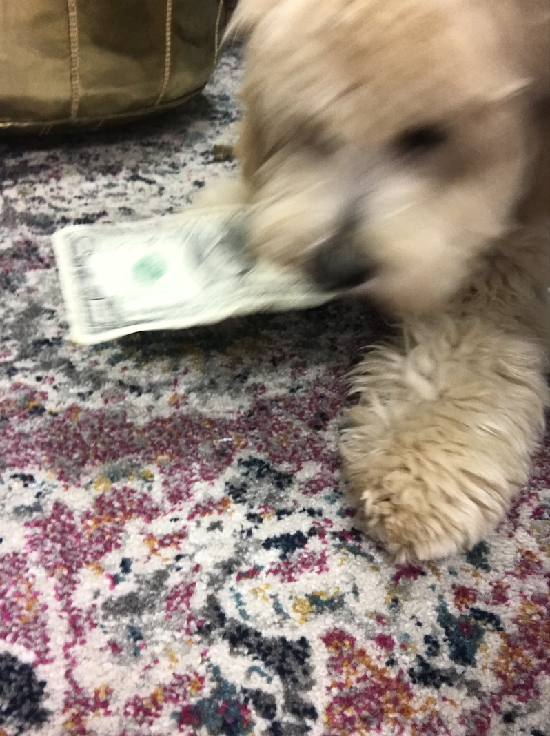 Screen Shot 2018-11-12 at 11.44.39 PM.png