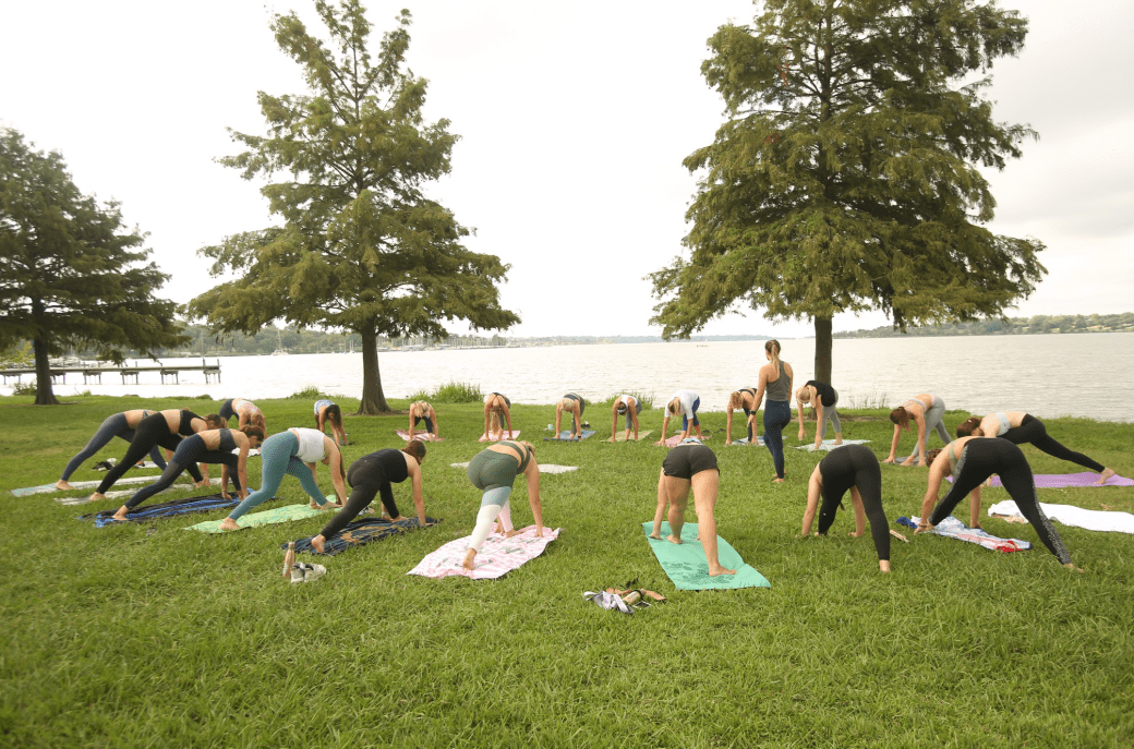 Screen Shot 2018-11-20 at 1.56.22 PM.png